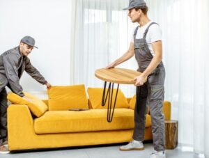 Firma transport mobila Satu Mare