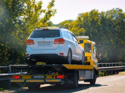 Firma Transport Masini Austria Alba Iulia 0771 253 209