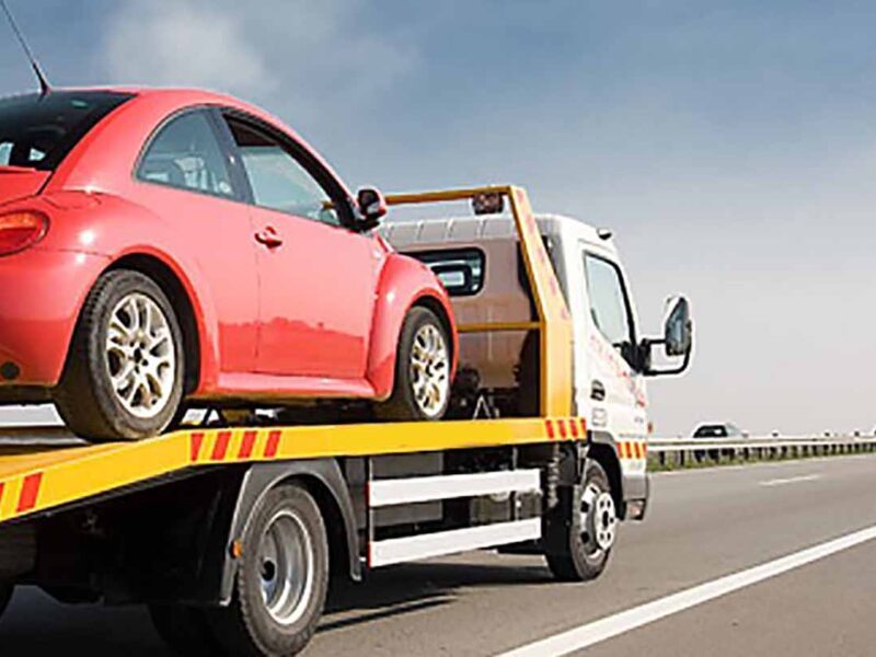 Firma Transport Masini Franta Bacau 0771 253 209