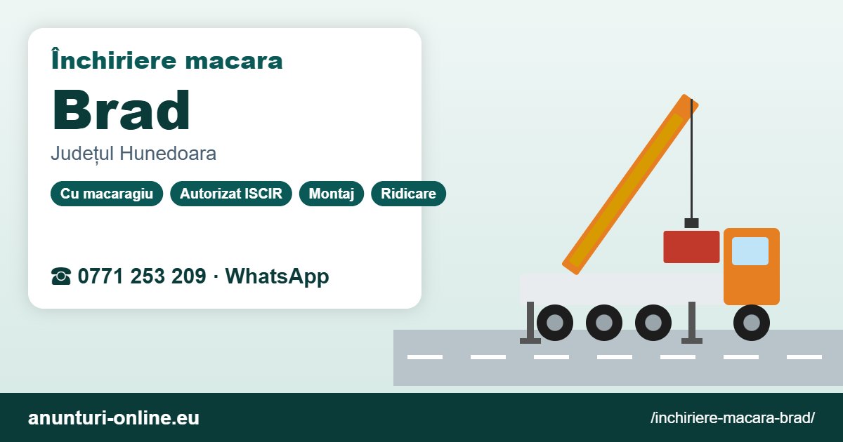 Închiriere macara Brad – 0771 253 209